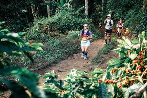 BIB: 
                            <button type="button" onclick="openModal(25838175)" class="btn btn-primary btn-sm float-right btn-popup" data-toggle="modal" data-target=".modal-high-quality">
                        <i class="fas fa-shopping-cart"></i> Add to Cart
                    </button>
                                            <button type="button" onclick="isThisMe(25838175, true)" class="btn btn-success btn-sm float-right btn-popup btn-isme hidden" data-toggle="tooltip" data-placement="bottom" title="นี่คือรูปของคุณใช่ไหม คลิกที่นี่เพื่อเอาเข้าอัลบั้ม">
                        <i class="fas fa-plus"></i> Add to album
                    </button>
                    <button type="button" onclick="isThisMe(25838175, false)" class="btn btn-warning btn-sm float-right btn-popup btn-isnotme hidden">
                        <i class="fas fa-ban"></i> Remove from album
                    </button>